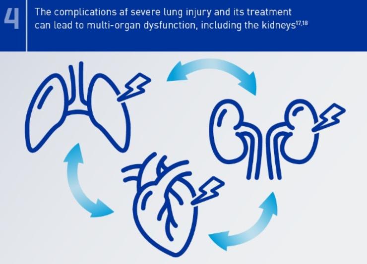 Damaged lungs, kidneys and heart