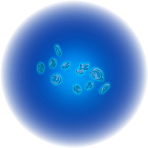 Blood cells