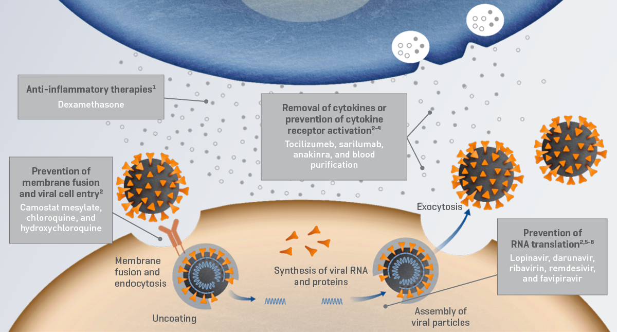 Potential_targets_COVID-19_therapies