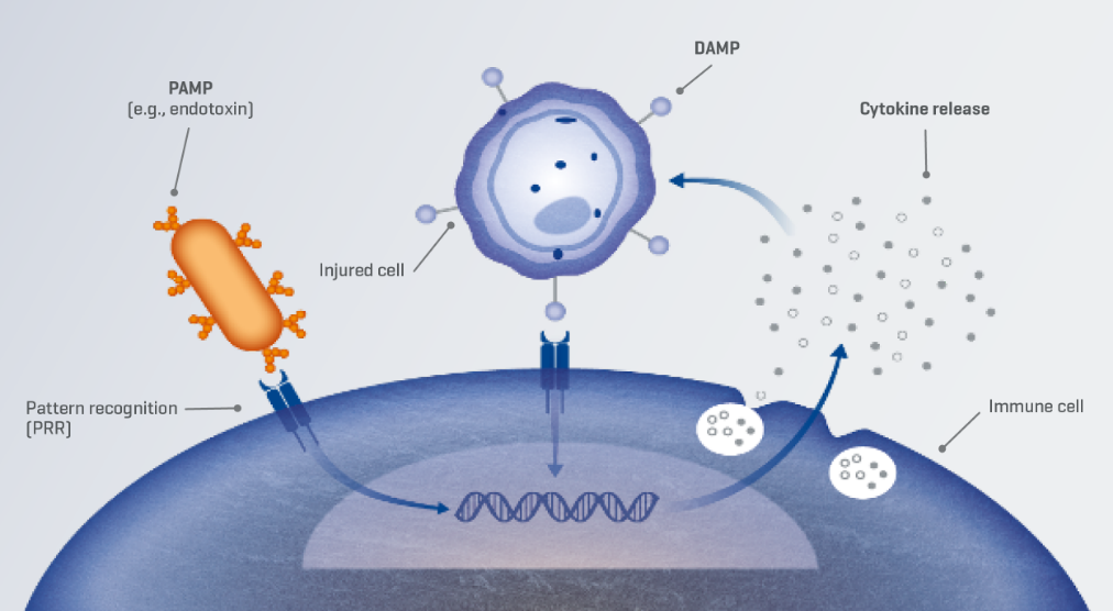 dysregulated inflammatory mediator