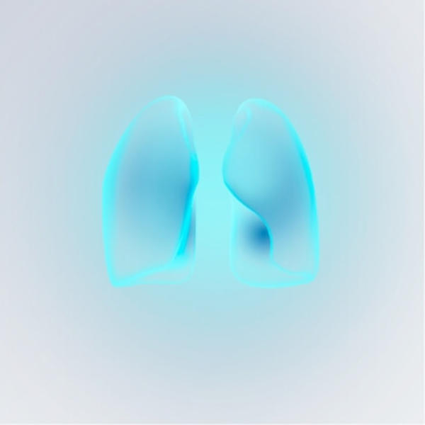 Lungs link