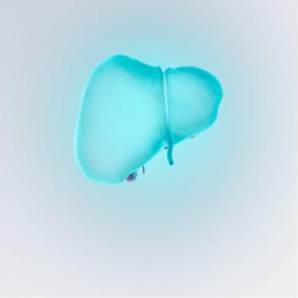 Liver link