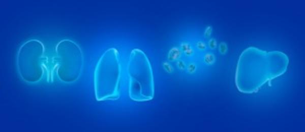 Combine multi-organ support therapies