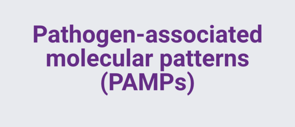 PAMPs