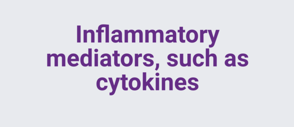 Inflammatory mediators