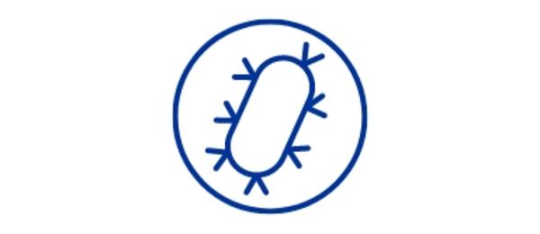 Bacterial colonization